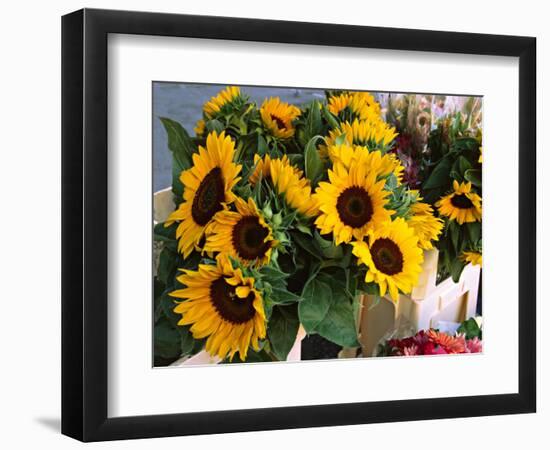 Market Sunflowers, Nice, France-Charles Sleicher-Framed Photographic Print