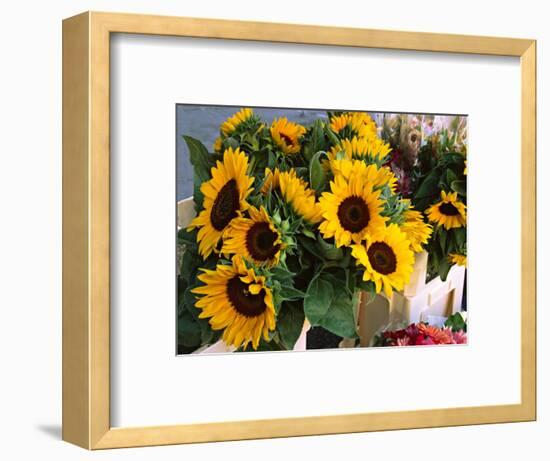 Market Sunflowers, Nice, France-Charles Sleicher-Framed Photographic Print