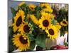 Market Sunflowers, Nice, France-Charles Sleicher-Mounted Photographic Print