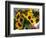 Market Sunflowers, Nice, France-Charles Sleicher-Framed Photographic Print