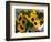 Market Sunflowers, Nice, France-Charles Sleicher-Framed Photographic Print