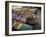 Market Traders in Boats Selling Fruit, Damnoen Saduak Floating Market, Bangkok, Thailand-Gavin Hellier-Framed Photographic Print