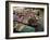 Market Traders in Boats Selling Fruit, Damnoen Saduak Floating Market, Bangkok, Thailand-Gavin Hellier-Framed Photographic Print