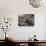 Market Traders in Boats Selling Fruit, Damnoen Saduak Floating Market, Bangkok, Thailand-Gavin Hellier-Photographic Print displayed on a wall