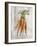 Market Vegetables I on Wood-Silvia Vassileva-Framed Art Print