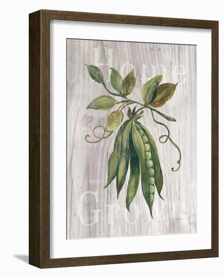 Market Vegetables II on Wood-Silvia Vassileva-Framed Art Print