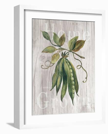 Market Vegetables II on Wood-Silvia Vassileva-Framed Art Print