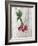 Market Vegetables III on Wood-Silvia Vassileva-Framed Art Print