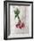 Market Vegetables III on Wood-Silvia Vassileva-Framed Art Print