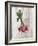 Market Vegetables III on Wood-Silvia Vassileva-Framed Art Print