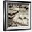 Marketplace #28-Alan Blaustein-Framed Photographic Print