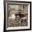 Marketplace #39-Alan Blaustein-Framed Photographic Print