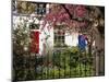 Markham Square, Chelsea, London, England, UK-Mark Mawson-Mounted Photographic Print