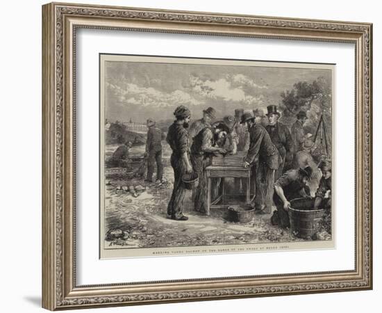 Marking Young Salmon on the Banks of the Tweed at Heugh Shiel-Henry Woods-Framed Giclee Print
