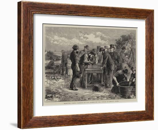 Marking Young Salmon on the Banks of the Tweed at Heugh Shiel-Henry Woods-Framed Giclee Print