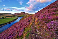 Beautiful Landscape of Scottish Nature--Markus--Premier Image Canvas