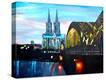 Stretched Canvas Print