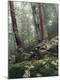 Photographic Print