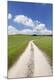 Premium Photographic Print