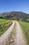 Path Leading to Belchen Mountain, Black Forest, Baden Wurttemberg, Germany, Europe-Markus-Photographic Print