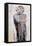 Marlene Dietrich (1901-92)-Stephen Finer-Framed Premier Image Canvas