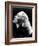 Marlene Dietrich-null-Framed Photo