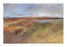 Nantucket Vistas I-Marlene Lenker-Giclee Print