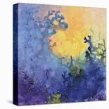 Sun Shower-Marlene Sanaye-Stretched Canvas