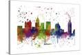 Stretched Canvas Print