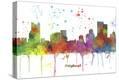 Stretched Canvas Print