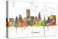 Stretched Canvas Print