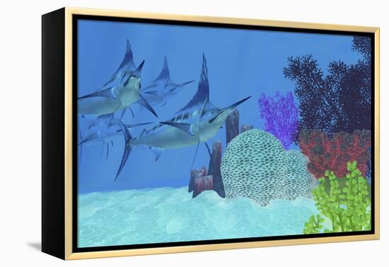 Marlin Predatory Fish Look for Prey around an Ocean Coral Reef-Stocktrek Images-Framed Stretched Canvas