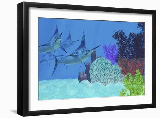 Marlin Predatory Fish Look for Prey around an Ocean Coral Reef-Stocktrek Images-Framed Art Print