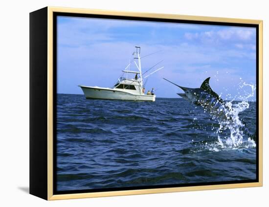 Marlin with Fishing Boat in Background-null-Framed Premier Image Canvas