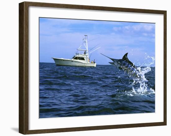 Marlin with Fishing Boat in Background-null-Framed Photographic Print