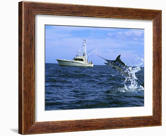 Marlin with Fishing Boat in Background-null-Framed Photographic Print