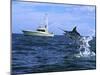 Marlin with Fishing Boat in Background-null-Mounted Photographic Print
