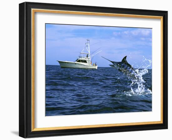 Marlin with Fishing Boat in Background-null-Framed Photographic Print