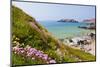 Marloes Sands, Pembrokeshire, Wales, United Kingdom, Europe-Billy Stock-Mounted Photographic Print