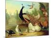 Giclee Print
