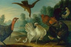 A Peacock and Other Birds in an Ornamental Landscape-Marmaduke Cradock-Framed Premier Image Canvas