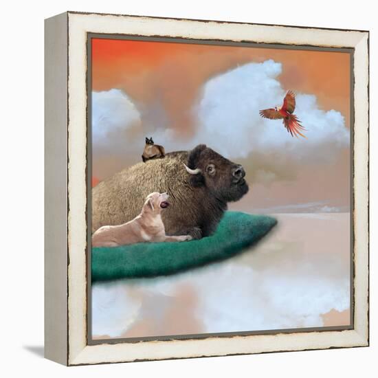 Marmalade Sky-Nancy Tillman-Framed Stretched Canvas