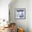 Marmo Blu - Focus-Mark Chandon-Framed Giclee Print displayed on a wall