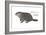 Marmot (Marmota Monax), Groundhog, Woodchuck, Mammals-Encyclopaedia Britannica-Framed Art Print