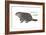 Marmot (Marmota Monax), Groundhog, Woodchuck, Mammals-Encyclopaedia Britannica-Framed Art Print