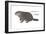 Marmot (Marmota Monax), Groundhog, Woodchuck, Mammals-Encyclopaedia Britannica-Framed Art Print