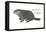 Marmot (Marmota Monax), Groundhog, Woodchuck, Mammals-Encyclopaedia Britannica-Framed Stretched Canvas