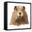 Marmot-Jeannine Saylor-Framed Stretched Canvas