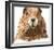 Marmot-Jeannine Saylor-Framed Art Print