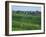 Marne, Champagne, Cramant Village and Vineyards, France-Steve Vidler-Framed Photographic Print